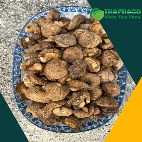 Người đang dùng thuốc chống đông máu cần thận trọng với nấm đông cô