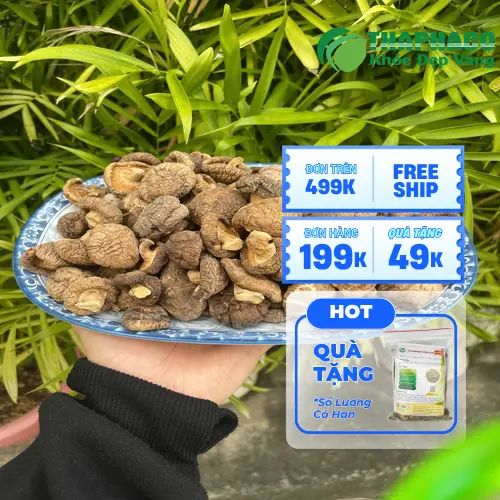 Nấm đông cô khô THAPHACO được đóng gói kỹ lưỡng