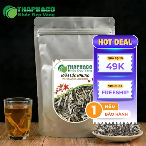 Nấm lộc nhung chế biến đa dạng món ăn