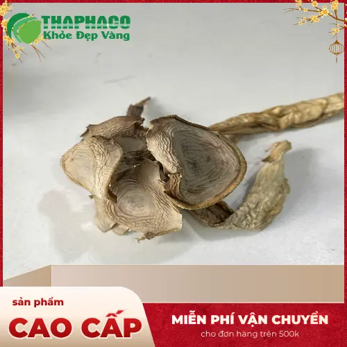 Món ăn chay từ nấm lộc nhung