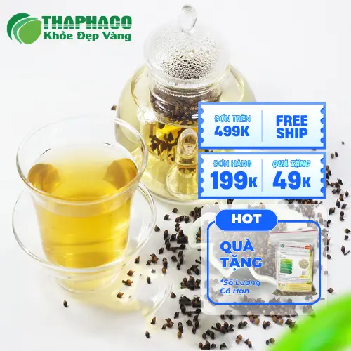 Nụ Vối Khô nguyên chất tại THAPHACO