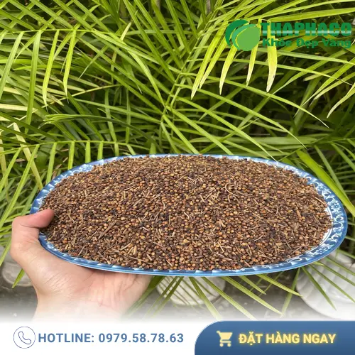 Lợi ích hỗ trợ sức khỏe của Nụ Vối