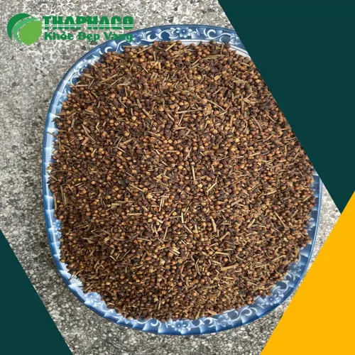 Hướng dẫn pha trà nụ vối đúng chuẩn