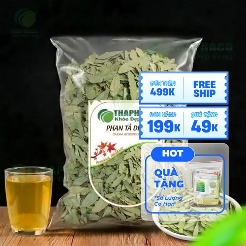 Phan Tả Diệp khô tại THAPHACO