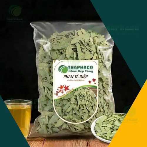 Phan Tả Diệp Sấy Khô Chất Lượng Cao