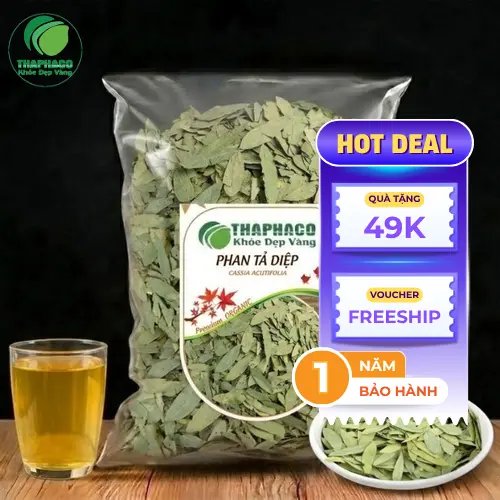 Hình ảnh cây Phan Tả Diệp