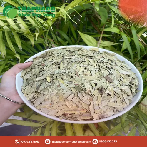 Phan Tả Diệp khô THAPHACO được nhiều khách hàng tin dùng