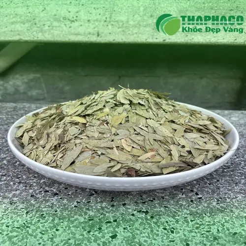 Phan Tả Diệp Sấy Khô Đảm Bảo Chất Lượng