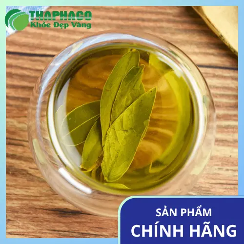 Hình ảnh lá Phan Tả Diệp khô tự nhiên