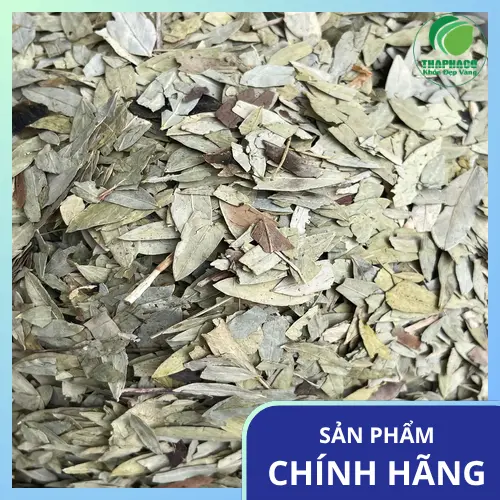 Lạm dụng Phan Tả Diệp có thể dẫn đến hội chứng ruột lười.