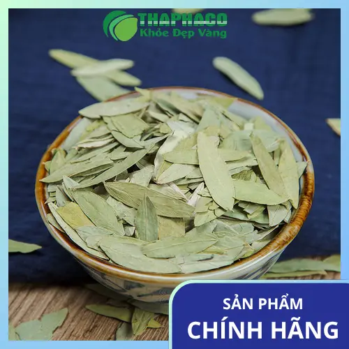 Lá Phan Tả Diệp khô có công dụng hỗ trợ nhuận tràng