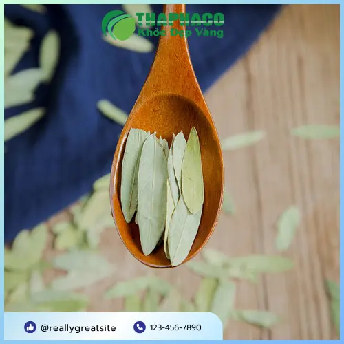 Phụ nữ mang thai hoặc cho con bú cần thận trọng khi dùng Phan Tả Diệp