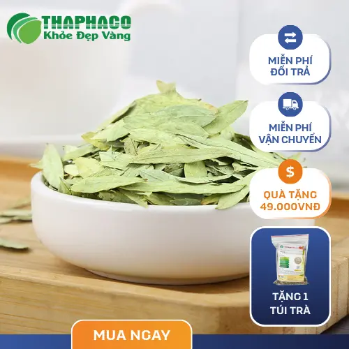 Cách dùng Phan Tả Diệp pha trà