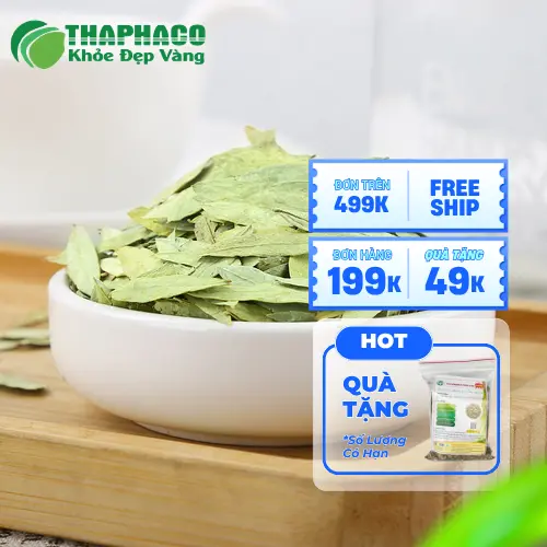 Bảng Giá Phan Tả Diệp Sấy Khô THAPHACO