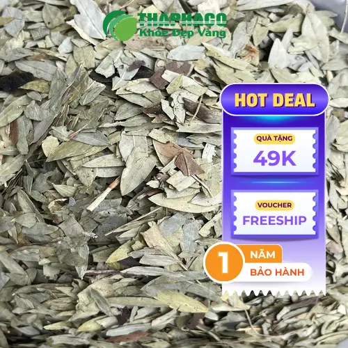 Phan Tả Diệp chất lượng tại THAPHACO