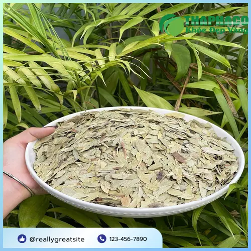 Phan Tả Diệp khô tại THAPHACO