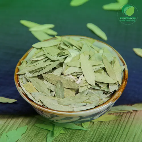 Phan Tả Diệp cần được sử dụng đúng cách để đạt hiệu quả an toàn