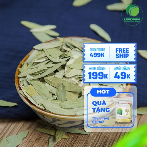 Lưu ý khi sử dụng Phan Tả Diệp khô