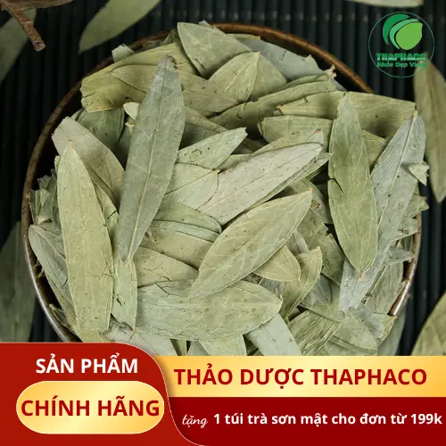 Lưu ý khi dùng Phan Tả Diệp