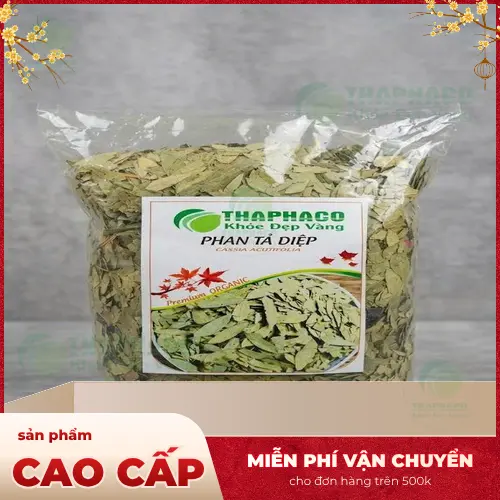 Giải đáp các thắc mắc về Phan Tả Diệp