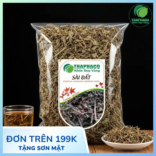 Hình ảnh cây Sài Đất tươi xanh