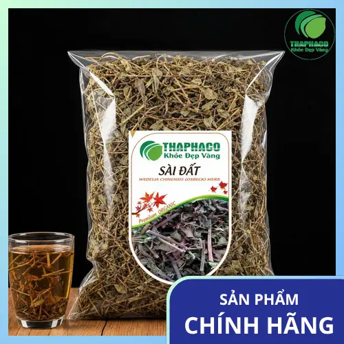 Cây sài đất tươi và sấy khô