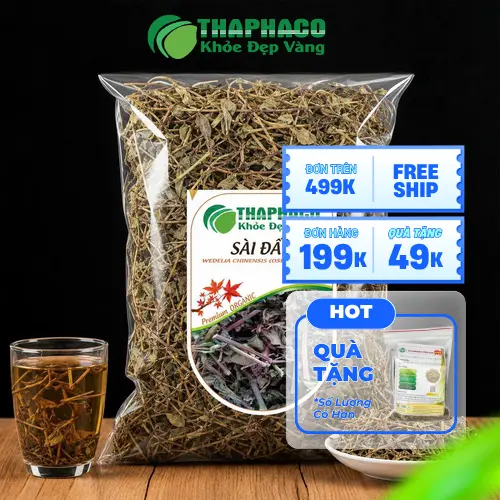 Cây sài đất mọc bò sát đất với lá màu xanh lục và hoa vàng tươi