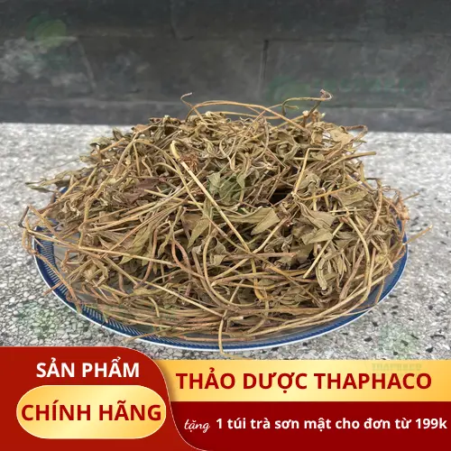 Cách sử dụng Sài Đất đúng cách