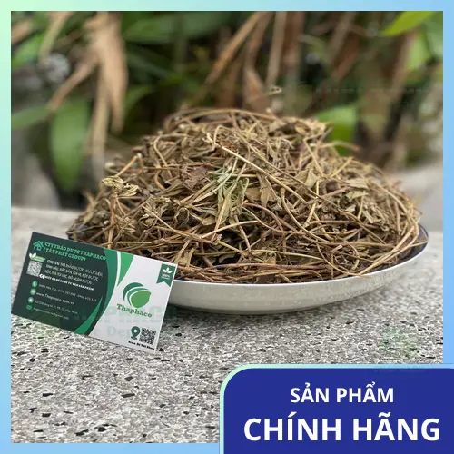 Sài đất khô được rửa sạch và đun nhỏ lửa để lấy nước cốt