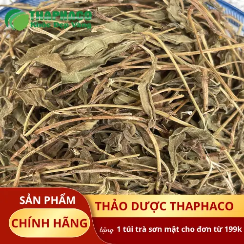 Sài đất khô đóng gói hút chân không tại THAPHACO