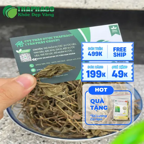 Sài Đất đóng gói tại THAPHACO