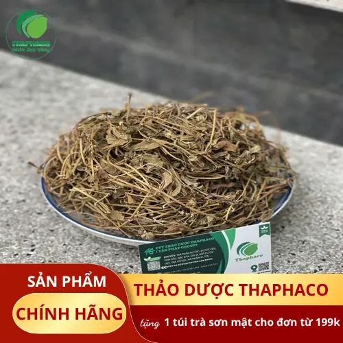 Người bị dị ứng với cây họ Cúc cần thận trọng với sài đất