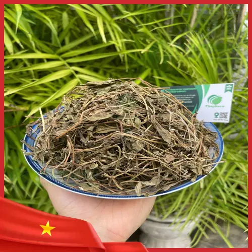 Sài đất khô tự nhiên, chất lượng từ THAPHACO
