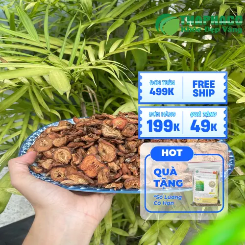 Cách pha trà và ngâm rượu táo mèo sấy khô đúng cách