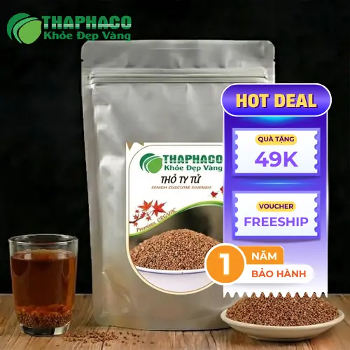 Hình ảnh cây Thỏ Ty Tử và hạt khô