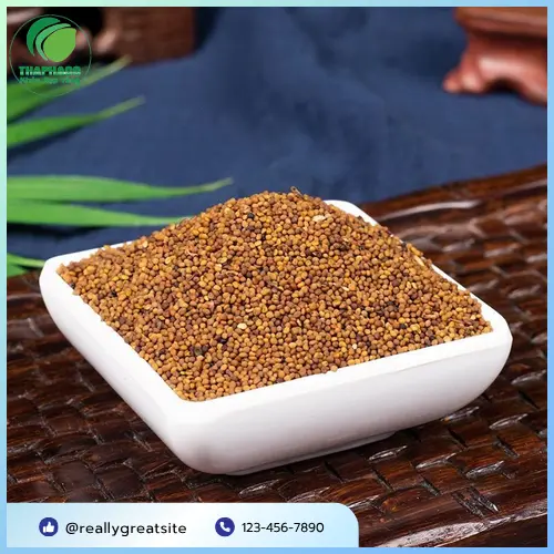 Thỏ Ty Tử khô chất lượng cao được đóng gói tại THAPHACO