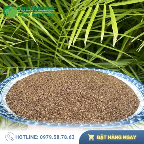 Cách sử dụng Thỏ Ty Tử an toàn và hiệu quả