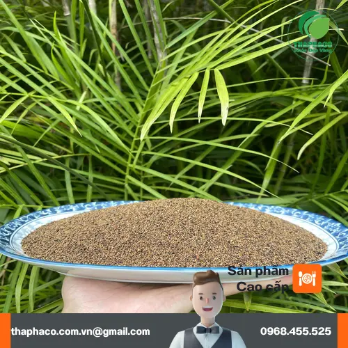 Hình ảnh người đang nghiên cứu về dược liệu Thỏ Ty Tử