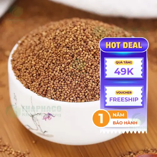 Mua Thỏ Ty Tử uy tín tại THAPHACO