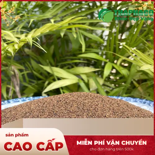 Tổng quan về dược liệu Thỏ Ty Tử và các công dụng hỗ trợ sức khỏe
