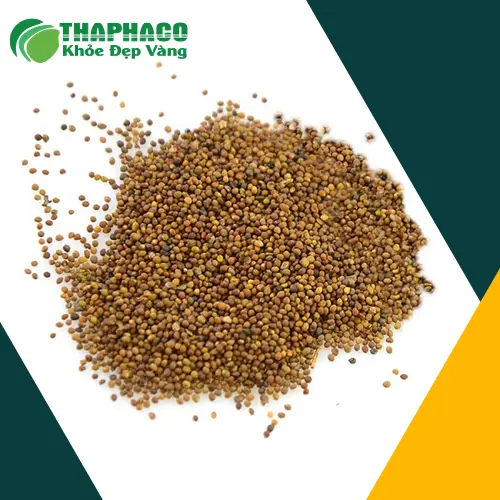 Liên hệ THAPHACO mua Thỏ Ty Tử khô uy tín