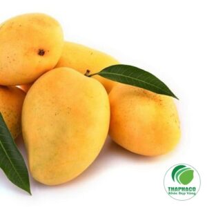 Liên hệ để được hỗ trợ hiệu quả nhất