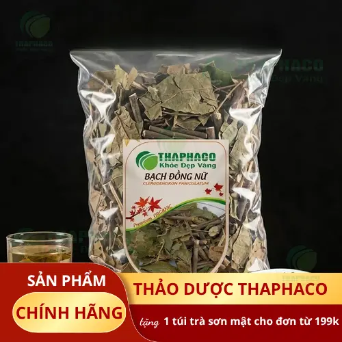 Cây bạch đồng nữ tự nhiên