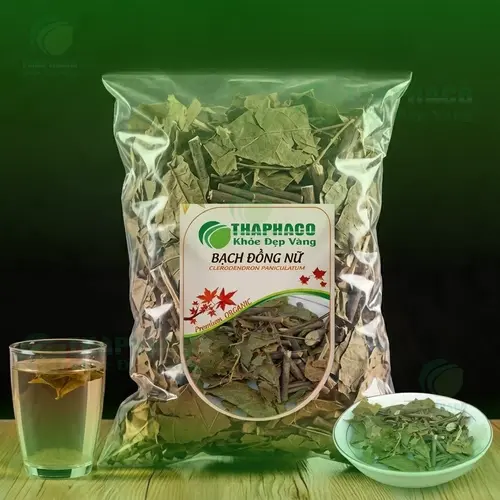 Hình ảnh cây Bạch Đồng Nữ nguyên bản