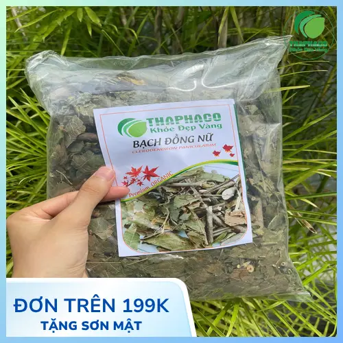 Hình ảnh Bạch Đồng Nữ khô