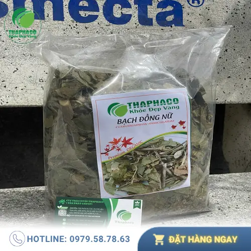 Hình ảnh bạch đồng nữ khô đã được sơ chế sạch sẽ