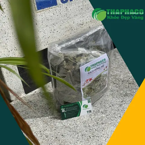 Công dụng hỗ trợ của Bạch Đồng Nữ sấy khô