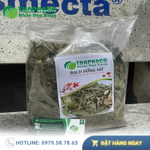 Bạch đồng nữ khô đã được sơ chế