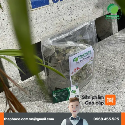 Sản phẩm bạch đồng nữ khô đóng gói tại THAPHACO