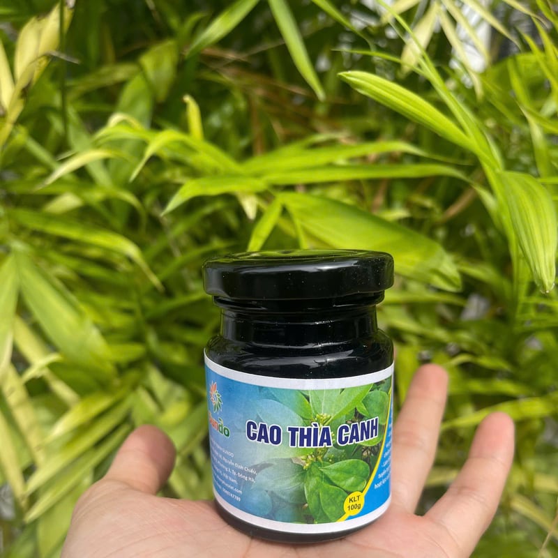 Hũ cao thìa canh nguyên chất tại THAPHACO